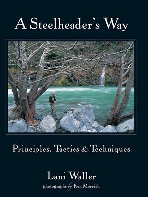 cover image of A Steelheader's Way